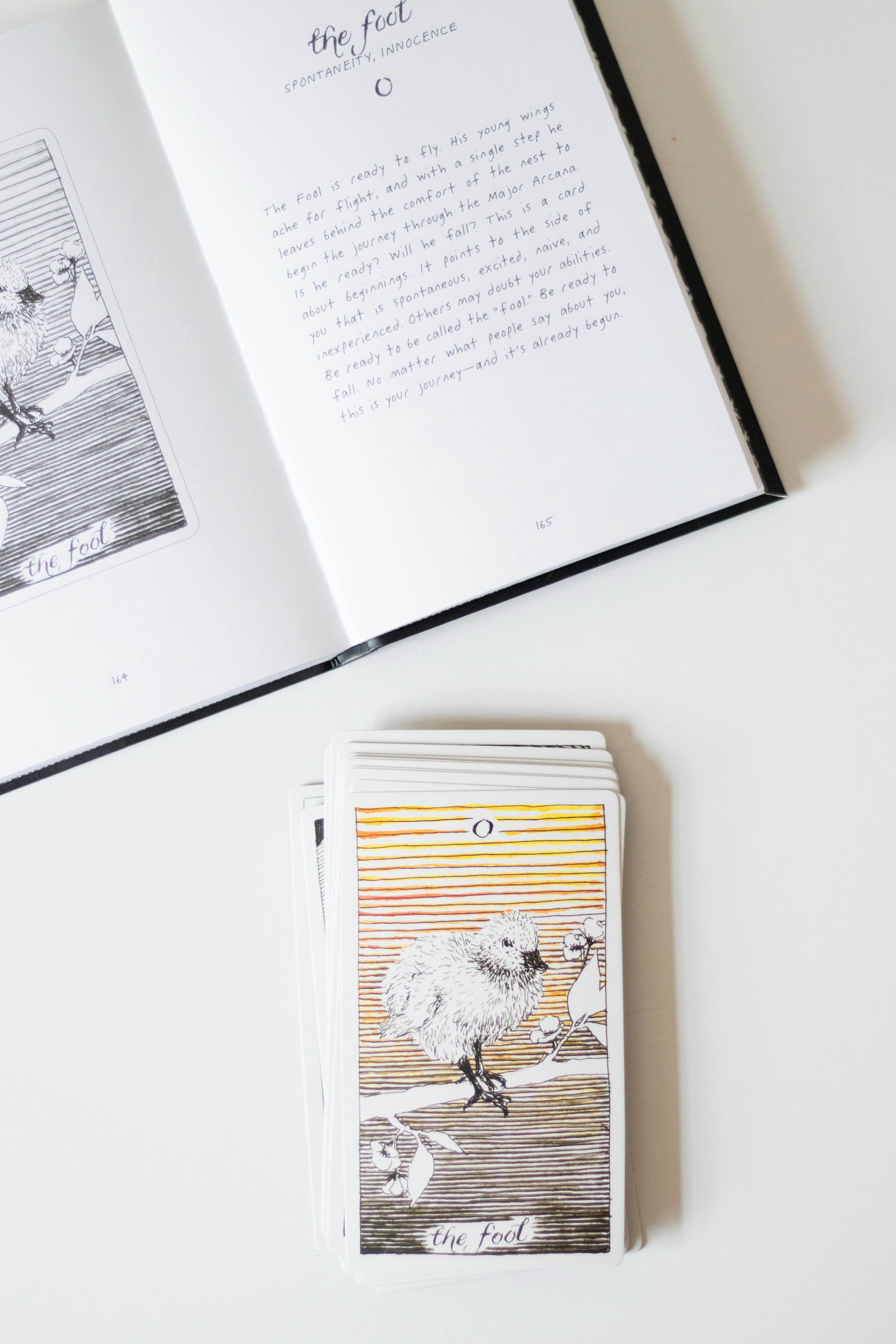 Carta del Loco y libro abierto